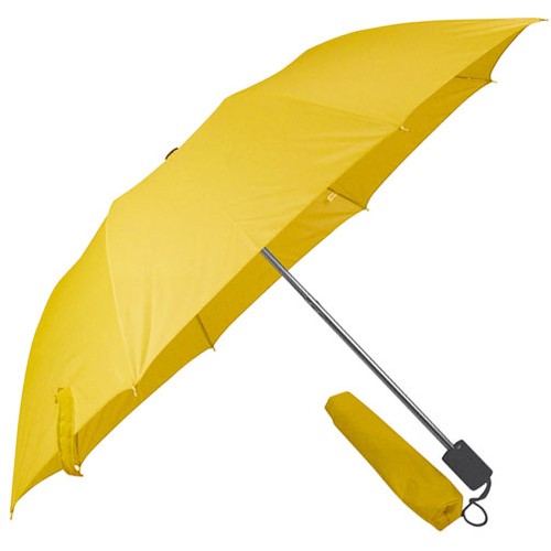 Parapluie livrée dans létui