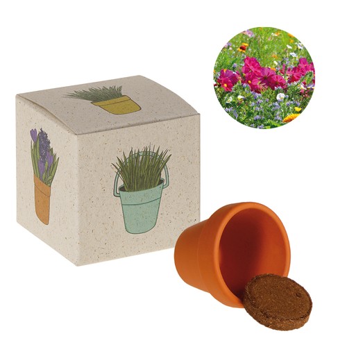 Cube de graines promotionnel (papier d'herbe) - Mélange de fleurs d'été
