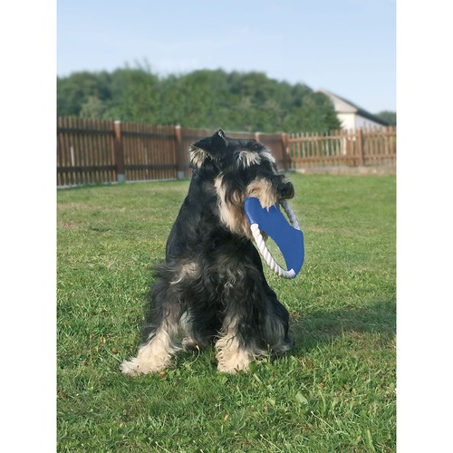 Frisbee per cane Frisbee per cane