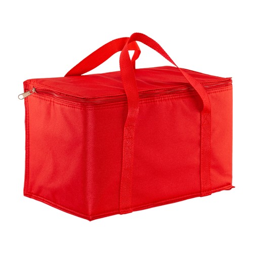 Cooler bag with silver interior