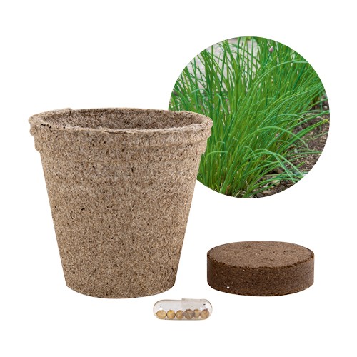 Jar with peat and seeds Paprica Jar with peat and seeds Paprica