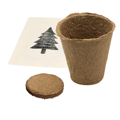 Christmas tree pyramid - seed set - Norway spruce Christmas tree pyramid - seed set - Norway spruce