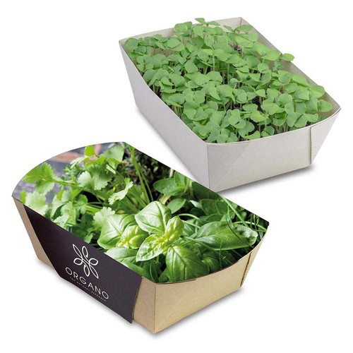 Jardinière en papier bambou avec graines - Mélange d'herbes aromatiques Jardinière en papier bambou avec graines - Mélange d'herbes aromatiques