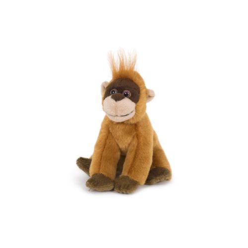 Peluche Peluche