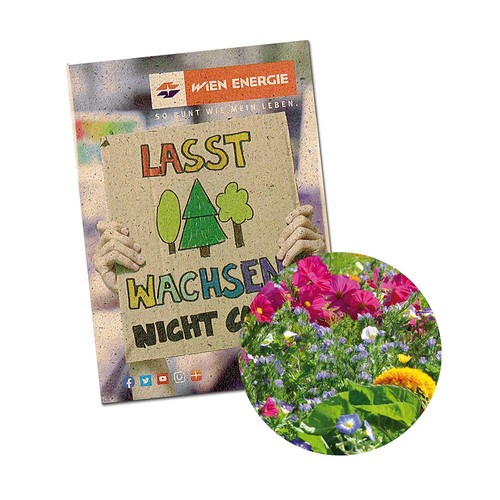 Zaadzakjes mini graspapier - Zomerbloemen