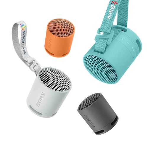 Sony Bluetooth Speaker SRS-XB100 Grey
