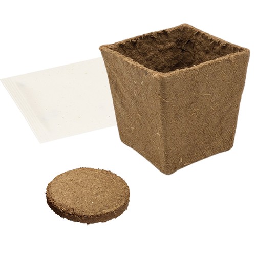 Vegetable Garden Seed Set (small) - Arugula