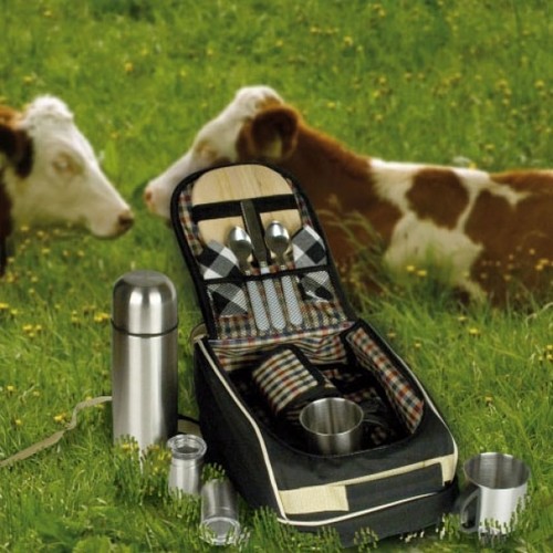 bolsa isotérmica de picnic