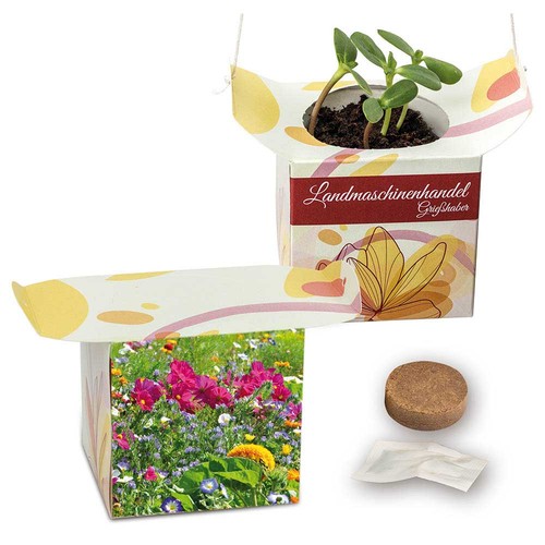 Hangpotje - Zomerbloemen mix Hangpotje - Zomerbloemen mix