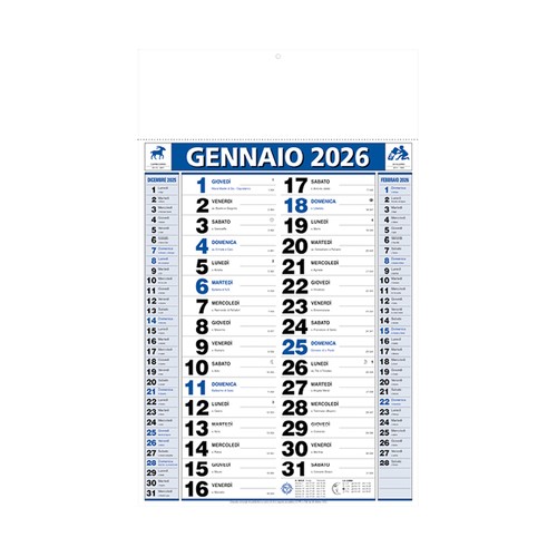 2026 Two-Colour Monthly Wall Calendar, 12 sheets, coated paper, heat-sealed