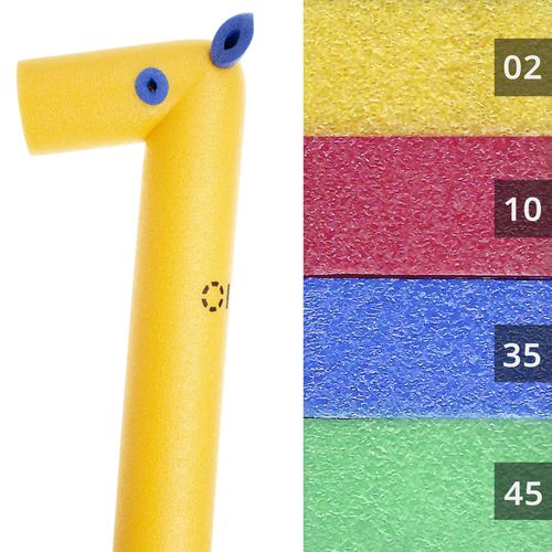 Swimming and playing horse with whistle Swimming and playing horse with whistle