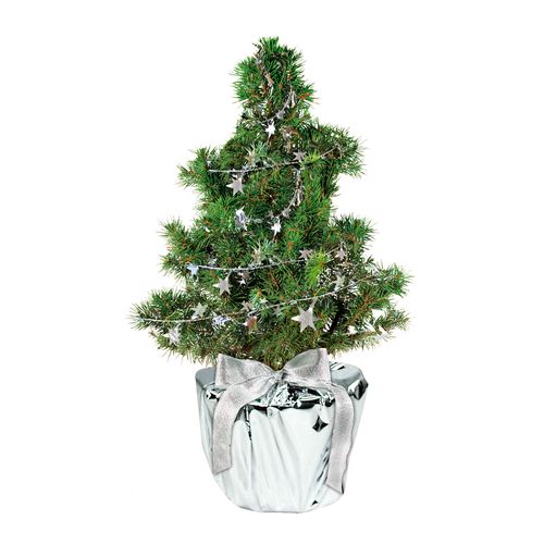 Silver Star Tree 20-30 cm Silver Star Tree 20-30 cm