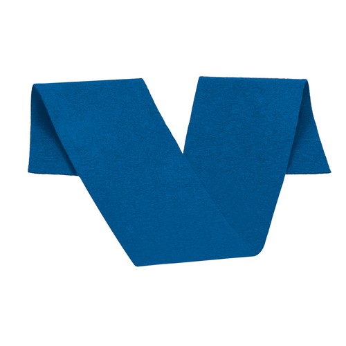 Sash UNIVERSITY Sash UNIVERSITY