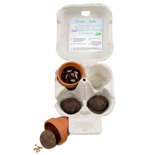 Boxed pleasure - Green-Mix - Egg tree seeds Boxed pleasure - Green-Mix - Egg tree seeds