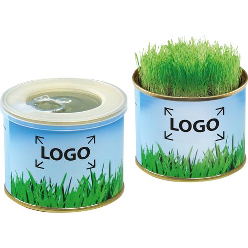 Boîte Oasis verte Boîte Oasis verte