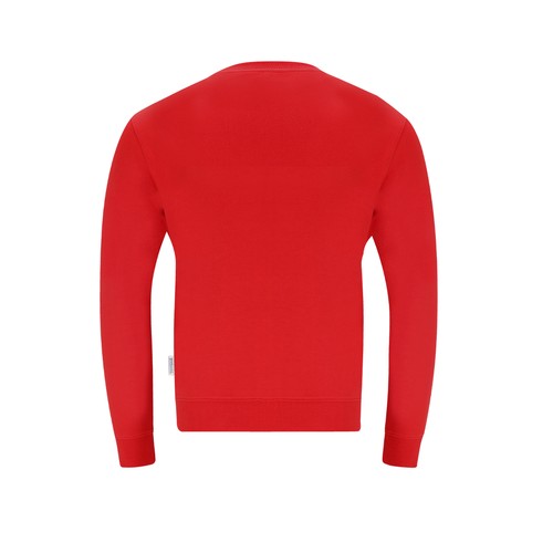 bluza