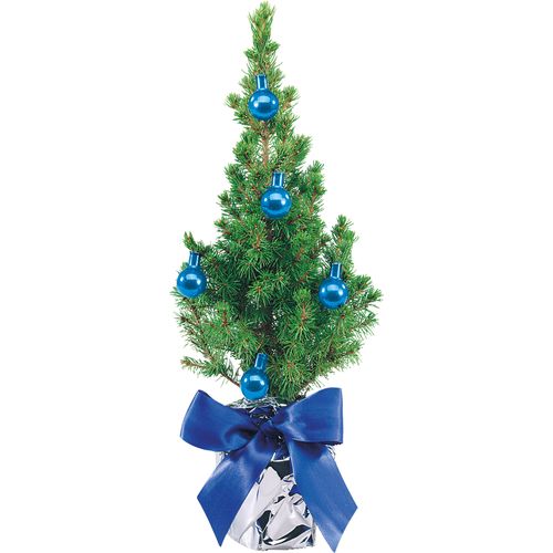 Festive Tree Blue 20-30 cm
