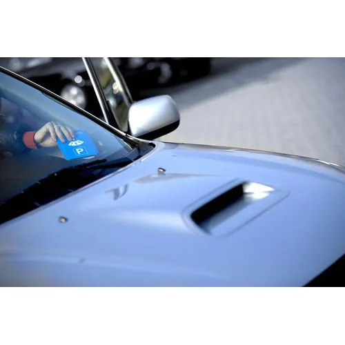 Disque de stationnement avec gratte-neige Teddie