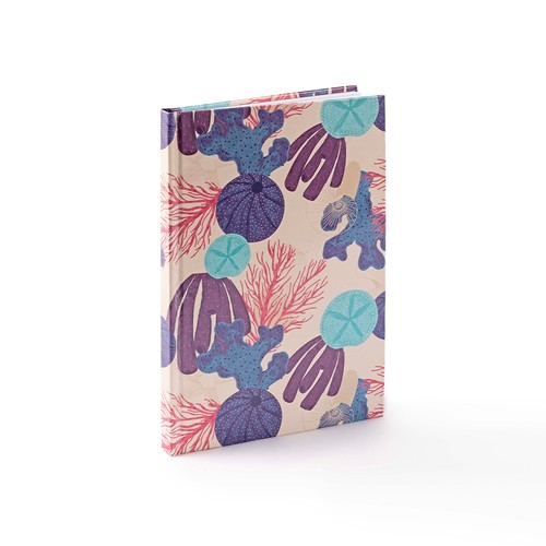 CARNET GABIRRI
