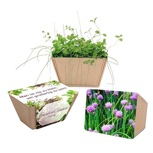 erbe aromatiche