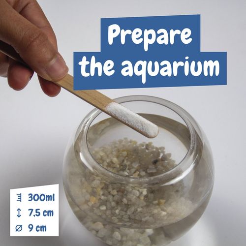 Jurassic Pets Kit I. Gra edukacyjna dla dzieci Jurassic Pets Kit I. Gra edukacyjna dla dzieci