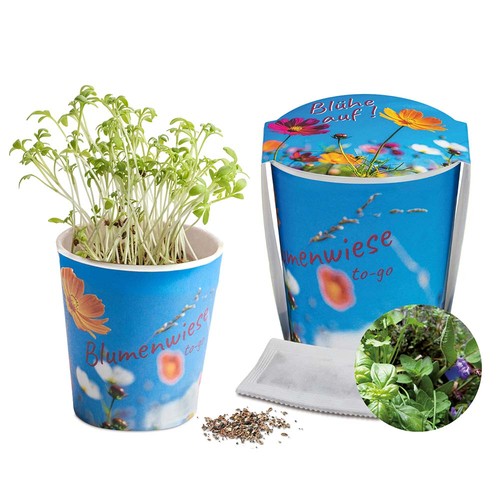 Flower meadow to-go - Mixed herbs - neutral Flower meadow to-go - Mixed herbs - neutral
