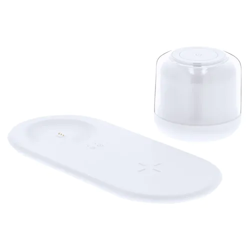 Charger Lamp Reginal Charger Lamp Reginal