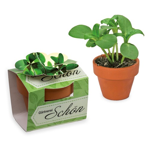 Mini pot terre cuite en fourreau fleur avec graines - Bulbes de trèfle à 4 feuilles Mini pot terre cuite en fourreau fleur avec graines - Bulbes de trèfle à 4 feuilles