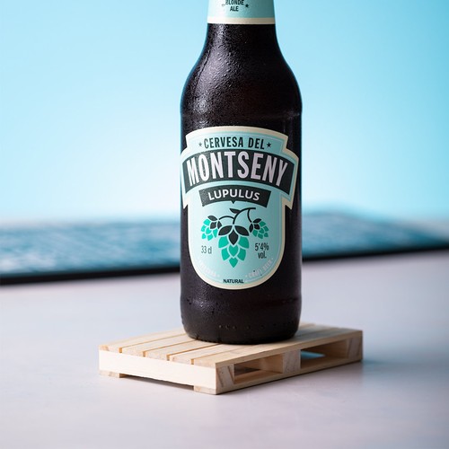 Coaster Palet