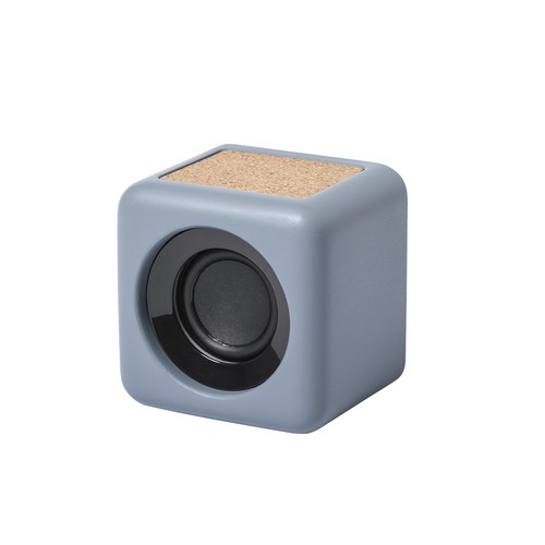 Speaker Seynol