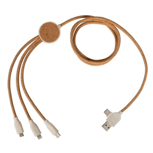 Câble de charge multi-embouts
