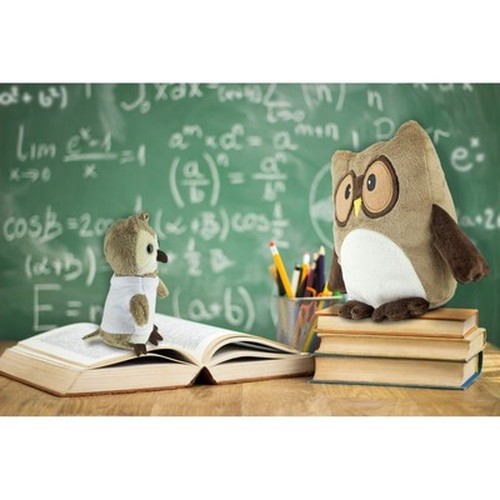 Plush owl, keyring | Cleverly