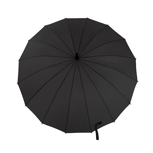 parasol