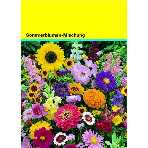 Sachet de graines fleurs d'été 82 x 114 mm