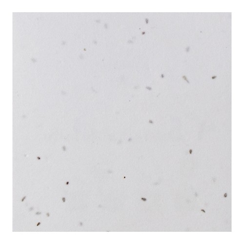 GERMINA COASTER 140GR 2 SIDES