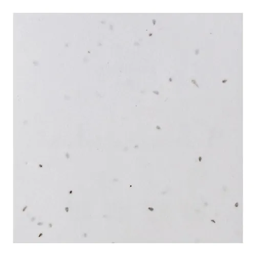 sottobicchiere sottobicchiere