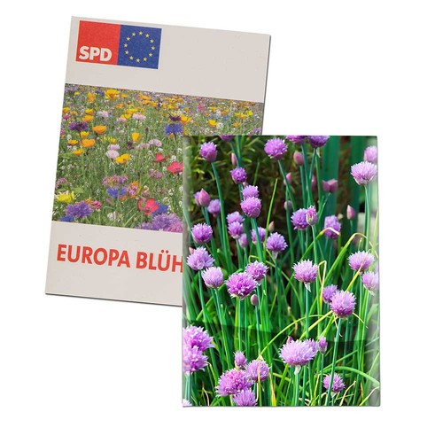 erbe aromatiche erbe aromatiche