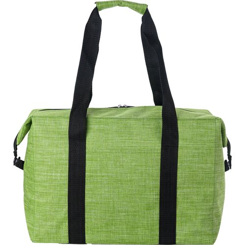 600D polyester cooler bag Alejandro