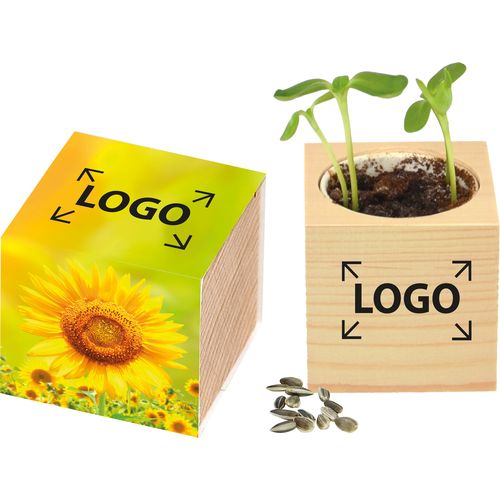 Big Natur Cube Sun Big Natur Cube Sun