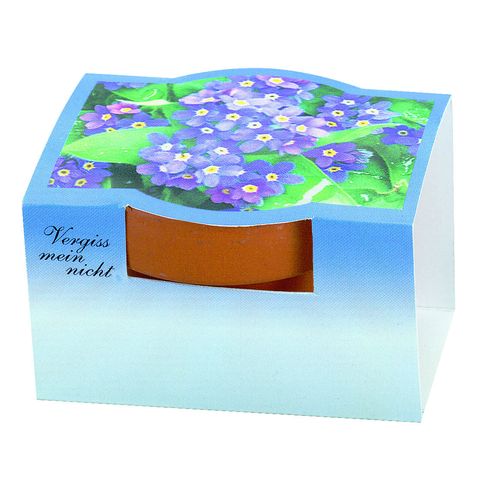 Pot en terre cuite Myosotis