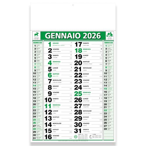 2026 Two-Colour Monthly Wall Calendar, 12 sheets, coated paper, heat-sealed 2026 Two-Colour Monthly Wall Calendar, 12 sheets, coated paper, heat-sealed