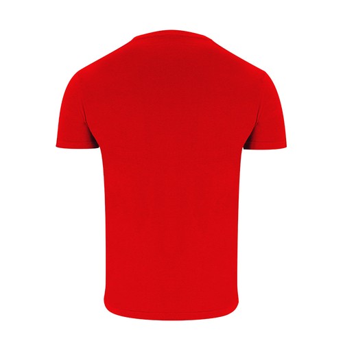 Adult Colour T-Shirt Perkins