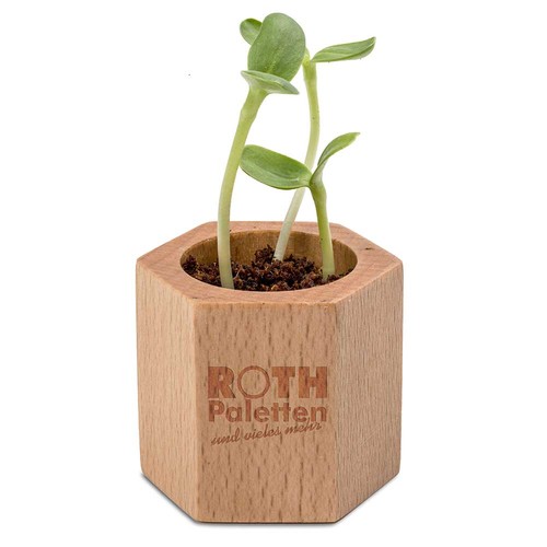 Pot cube Hexagon avec graines - Piment Pot cube Hexagon avec graines - Piment