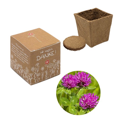 Cube-plantset (klein) - Rode klaver Cube-plantset (klein) - Rode klaver