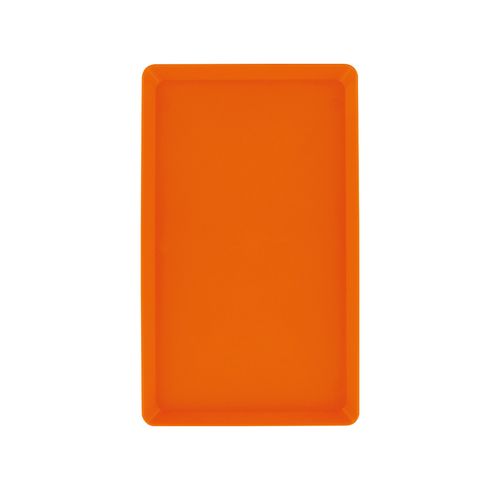 MINI PLATEAU 25X15X2 CM