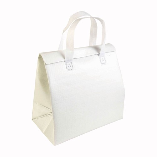 Laminated non woven cooler bag 100 g/m2 with velcro closure, 27 x 28 x 6 cm