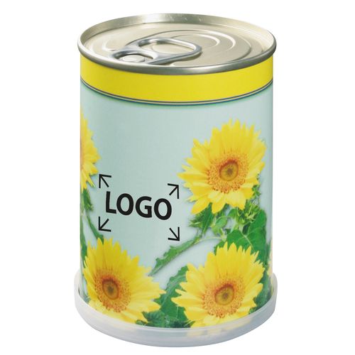 Boîte de fleurs Soleil Boîte de fleurs Soleil