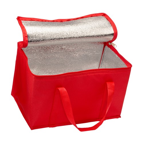 Cooler bag with silver interior