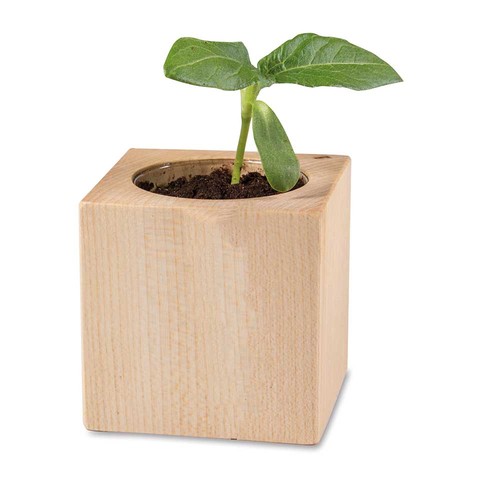 Pflanz-Holz - Standardmotiv - Sonnenblume - ohne Lasergravur Pflanz-Holz - Standardmotiv - Sonnenblume - ohne Lasergravur