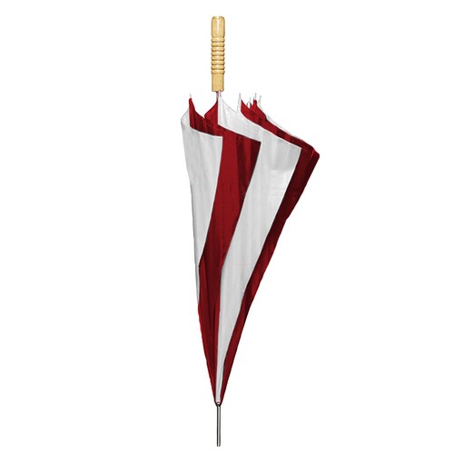 parasol